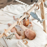 Pumpkin Baby Rattle