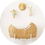 Mini Pastel Zebra Head Wall Decor