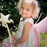 Magical Mini Fairy Wings