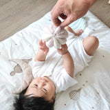 Toto Montessori Toy