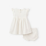Tea Party Flutter Sleeve Baby Dress