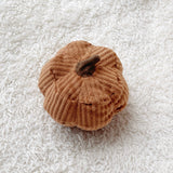 Pumpkin Baby Rattle