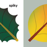Touch and Trace: Opposites