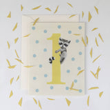 Baby Raccoon 1st Birthday Card