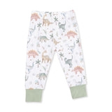 Sweet Baby Dinos Long Sleeve Loungewear Set