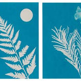 Outdoor Discovery Solar Print Kit