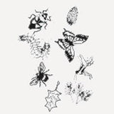 Outdoor Discovery Solar Print Kit