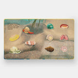 Shells... And What They Hide Inside