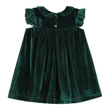 Velvet Flutter Sleeve Dress