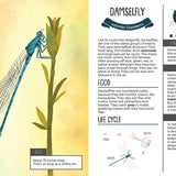 Kid’s Guide to Backyard Bugs