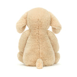 Bashful Luxe Puppy Orlando - Medium