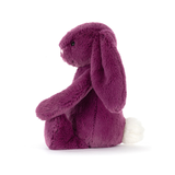 Bashful Allium Bunny - Little