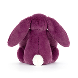 Bashful Allium Bunny - Little