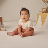 Short Sleeve Bodysuit Pack - Carnival + Honey Stripe