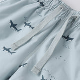 Swim Trunks - Sharks