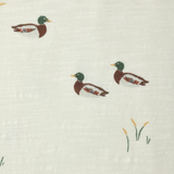 Relaxed Set - Ducks