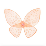 Rosanna Fairy Wings