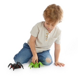 Spider Rover Climbing Toy