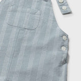 Sweet Prince Linen Striped Overalls