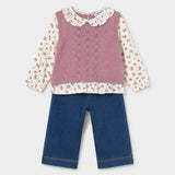 Fall Sweater Vest + Pant Set