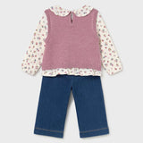 Fall Sweater Vest + Pant Set