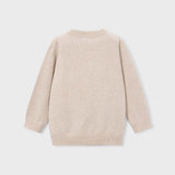 Boy Intarsia Sweater - Puppy