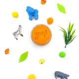 Zoo Grab & Go Dough Jar