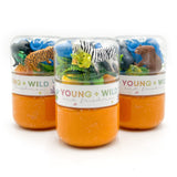 Zoo Grab & Go Dough Jar